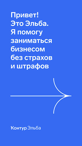 Контур.Эльба - бухгалтерия ИП — экран приложения